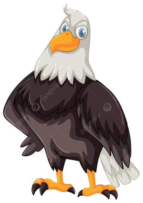 Hawk Clipart Png Images