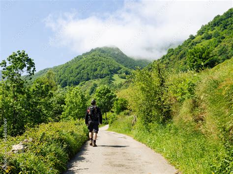 Persona Caminando Por Un Sendero Solitario Rodeado De Naturaleza Verde