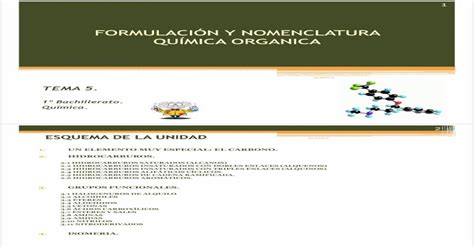 Formulaci N Y Nomenclatura Qu Mica Organica Hidrocarburos