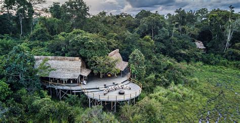 DESTINATION: King of the Jungle | Luxury Travel Magazine