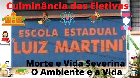 Eletivas Culmin Ncia O Ambiente E A Vida Escola Estadual Luiz