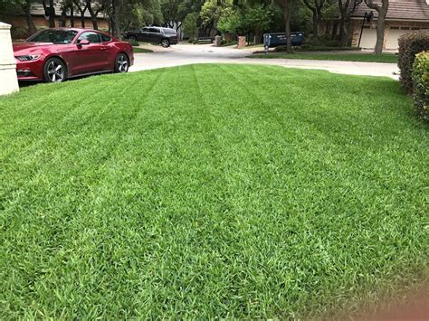 Gambinos Landscaping Reviews Fort Worth Tx Angi