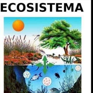 Ecosistemas Y Cadenas Alimentarias Ocas Juego Educativo Biolog A