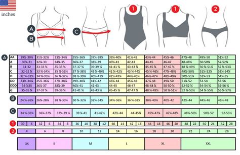 Avia Bra Size Chart : Avía Sports Bra in 2020 | Sports bra, Gray sports ...