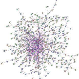 Protein interaction network constructed on STRING database using ...