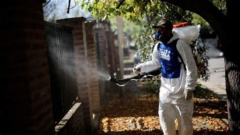 Alerta En Expansi N Argentina Registra Cifras R Cord De Dengue Con