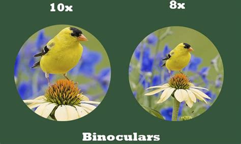 8x42 Vs 10x42 Binoculars: Differences And Comparison, 50% OFF