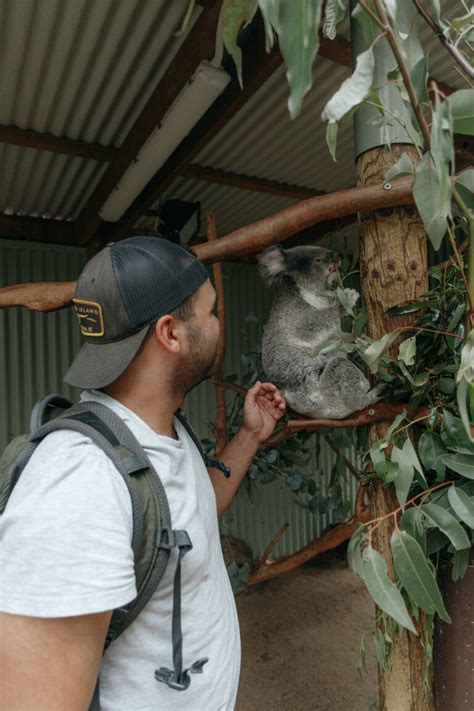 Visiting Featherdale Wildlife Park in Sydney - thewildlylife.com