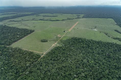 Mt Nico Estado Do Brasil Recursos Do Fundo Amaz Nia Para