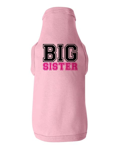 Big Sister Dog Shirt Big Sister College Font Dog Tee Etsy