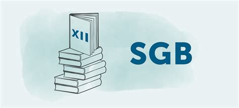 SGB XII In Der Plfege Sozialhilfe Pflege De