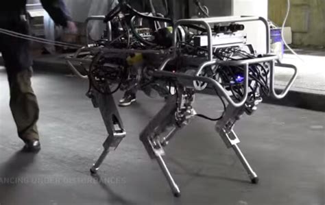 Exploring The World Of Quadruped Robots Post Acquisition Of Boston Dynamics