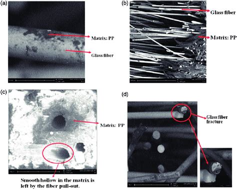 Optical Micrographs For Tensile Specimens Pulled Out Fiber A