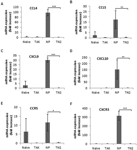 Ccl4 Ccl5 Cxcl9 Cxcl10 Ccr5 And Cxcr3 Mrna Expression In Spleens Of