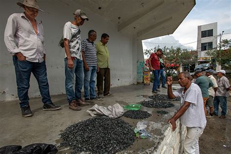 Feira Do Rato Viva O Sert O