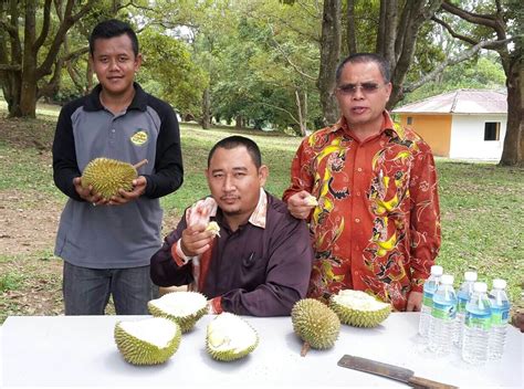 Pesta Durian Melaka Tarik Pelancong Dalam Dan Luar Negara Malaysiaaktif