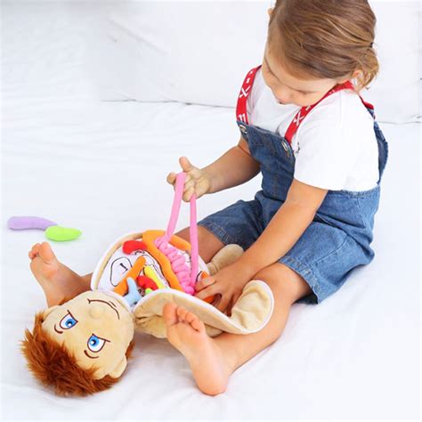 AaSFJEG Boy Toy Human Body Anatomy Toy Preschool Educational Plush Toys Science ing Kits for ...