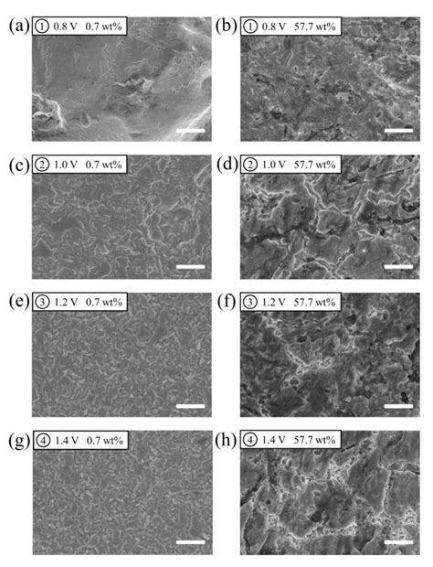 Molecules Free Full Text The Role Of Water Content Of Deep Eutectic Solvent Ethaline In The