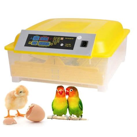 Couveuse 8 Oeufs Avec LED De Mirage Incubateur Pour Volaille