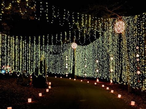 Riverbanks Zoo Christmas Lights 2020 | Outdoor Christmas Decorations