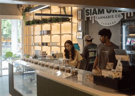 Nana Welcomes Siam Green Cannabis Co Bangkoks Latest Branch Siam