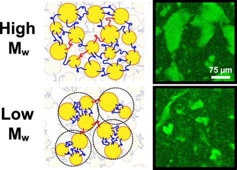 Bridging Heterogeneity Dictates The Microstructure And Yielding