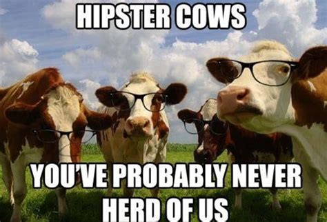 Cow Puns | Funny Cow Memes