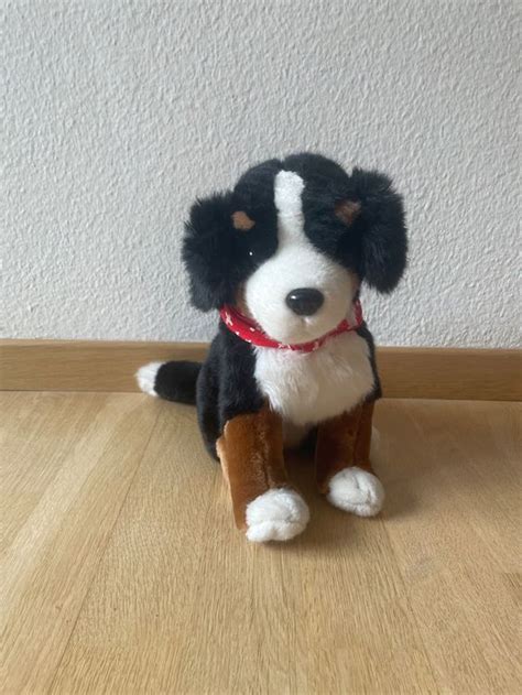 Berner Sennenhund Welpe Als Pl Schtier Kaufen Auf Ricardo