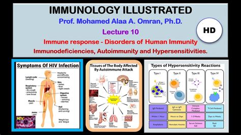 Immunology Illustrated Lecture 10 2020 Video HD YouTube