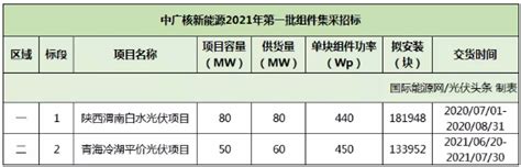 上能、特变、科华、锦州阳光、神州数码等11家企业入围！中广核新能源2021年组件逆变器集采结果出炉 国际能源网能源资讯中心