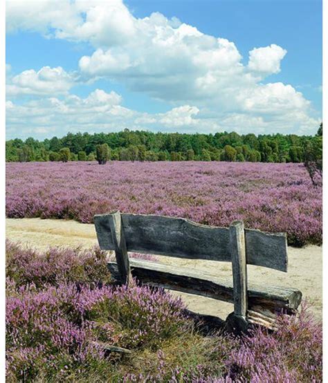 L Neburger Heide Historische M Hlen Aus Der Ganzen Welt In Der