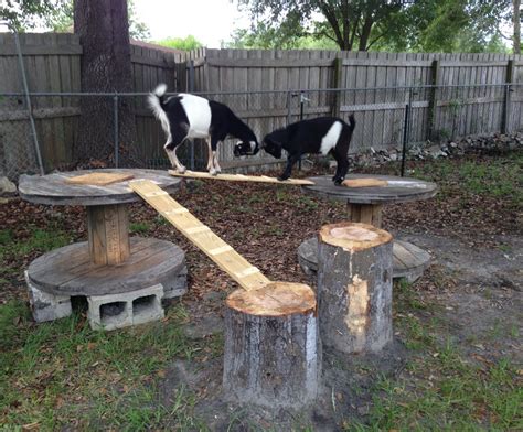 Diy Goat Playground Ideas : Building A Free DIY Goat Playground - Step ...