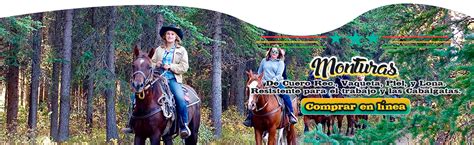 Caballos Del Sur Tienda Ecuestre