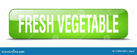 Fresh Vegetable Button Stock Vector Illustration Of Glossy 119901260