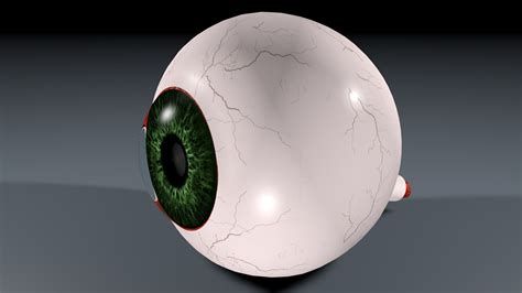 Human Eye 3d Model 9 Max Obj Ma 3ds Free3d