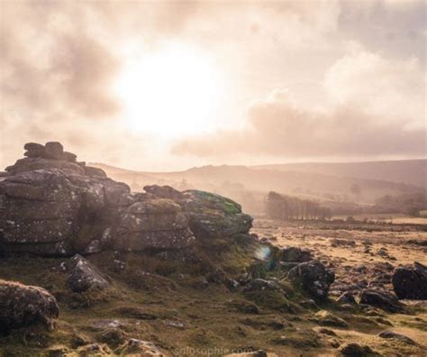 Visit Dartmoor Best Things To Do In Dartmoor National Park