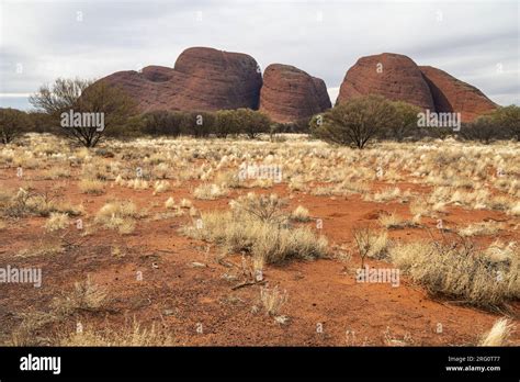 Western View Of Kata Tjuta Seen From The Sunset Viewing Area