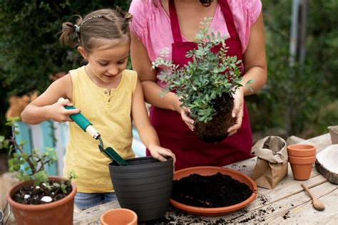 Actividades De Jardiner A De Estilo Montessori Para Hacer Con Los