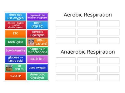 Aerobic Anaerobic Respiration Teaching Resources