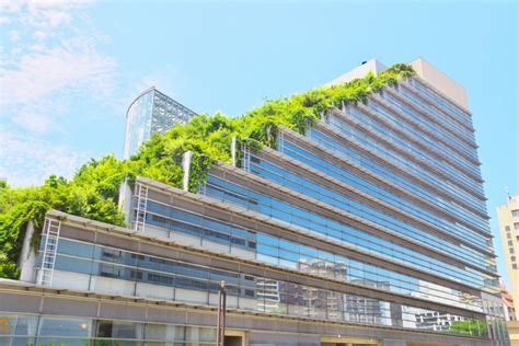 Green roof - kobo building