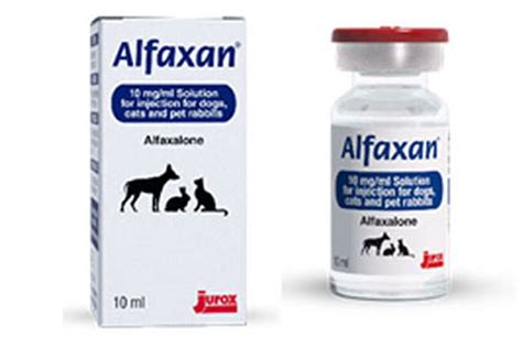 Alfaxan And Alfaxan Multidose 10mg Ml Solution For Injection Product Defect Recall Alert Gov Uk