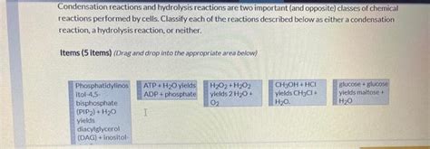 Solved Condensation Reactions And Hydrolysis Reactions Are Chegg