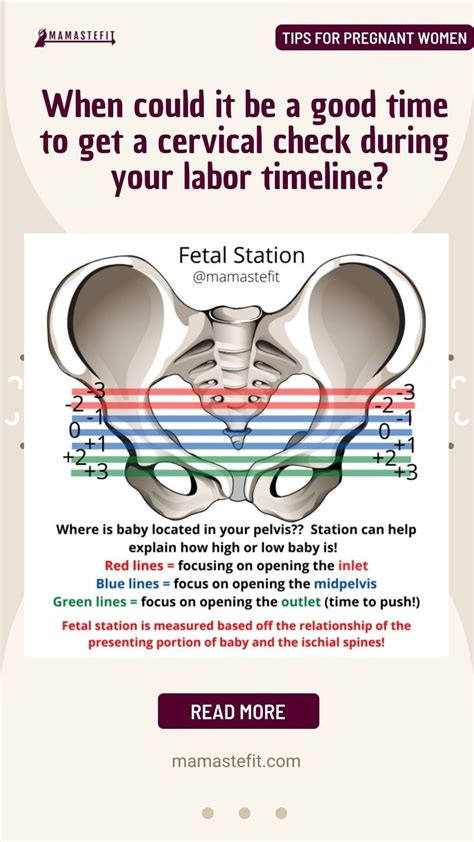 Cervical Checks Understanding Cervix Dilation Chart Cervix Dilation