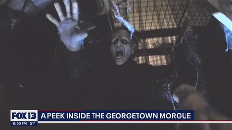 A Sneak Peek Inside The Georgetown Morgue FOX 13 Seattle YouTube