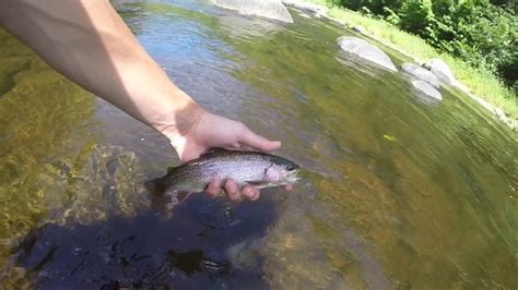 Fly Fishing The West River In Vermont YouTube