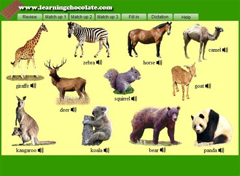 Zoo Animals Wonderful List Of 24 Animals That Live In The 59 Off