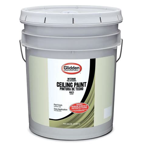 Home Depot Chalk Paint Gallon