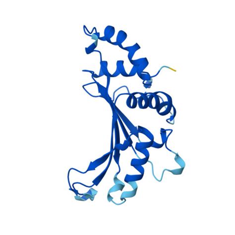 Rcsb Pdb Af Afq Z F Computed Structure Model Of S Ribosomal