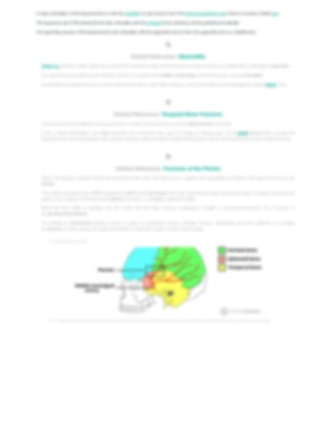 Solution The Temporal Bone Parts Fractures Teachmeanatomy Studypool