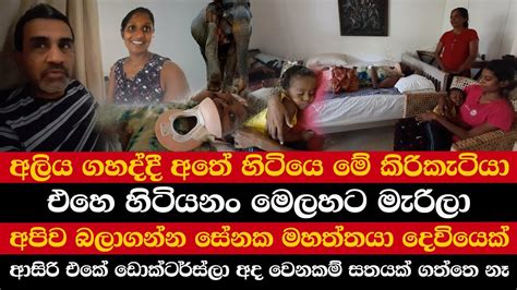 අලිය ගහද්දී අතේ හිටියෙ මේ කිරිකැටියා එහෙ හිටියනං මෙලහට මැරිලා අපිව